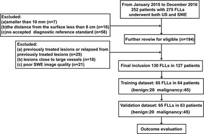 RGB Three-Channel SWE-Based Ultrasomics Model: Improving the Efficiency in Differentiating Focal Liver Lesions